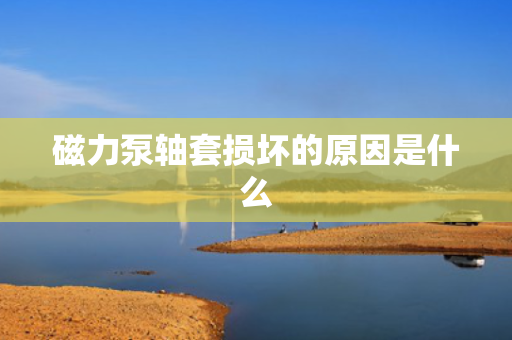 磁力泵轴套损坏的原因是什么