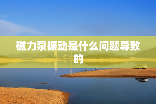 磁力泵振动是什么问题导致的
