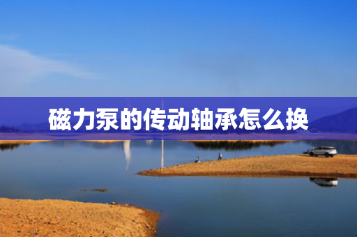 磁力泵的传动轴承怎么换