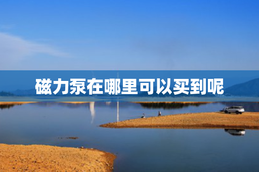 磁力泵在哪里可以买到呢