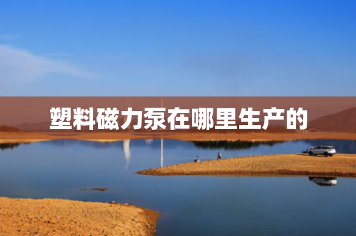塑料磁力泵在哪里生产的