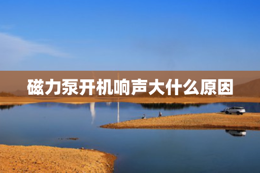 磁力泵开机响声大什么原因