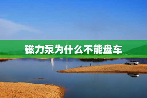 磁力泵为什么不能盘车