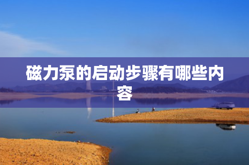 磁力泵的启动步骤有哪些内容