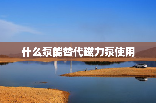 什么泵能替代磁力泵使用