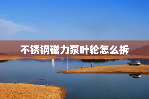 不锈钢磁力泵叶轮怎么拆