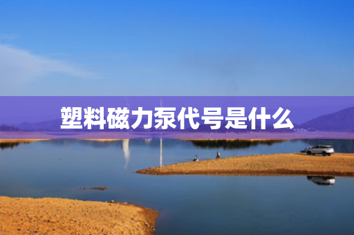 塑料磁力泵代号是什么