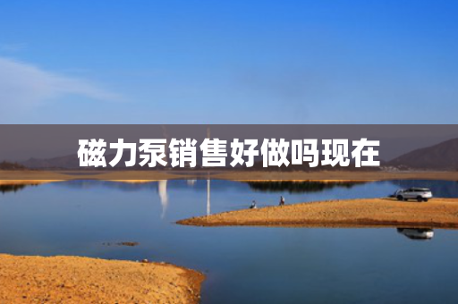 磁力泵销售好做吗现在