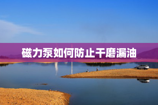 磁力泵如何防止干磨漏油