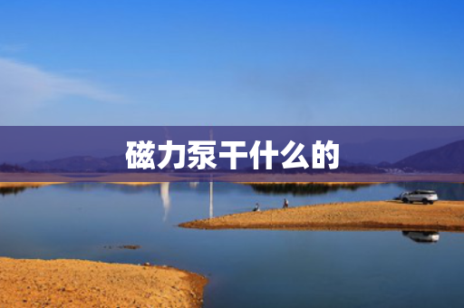 磁力泵干什么的
