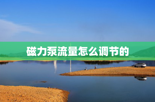 磁力泵流量怎么调节的
