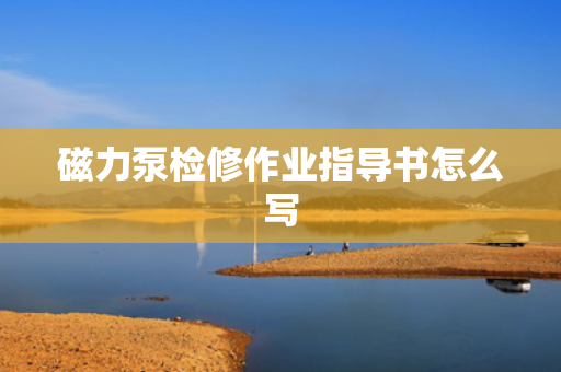 磁力泵检修作业指导书怎么写