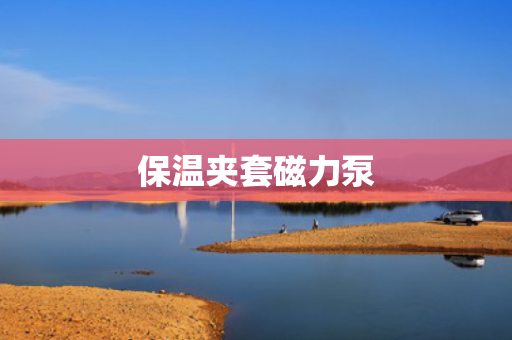 保温夹套磁力泵