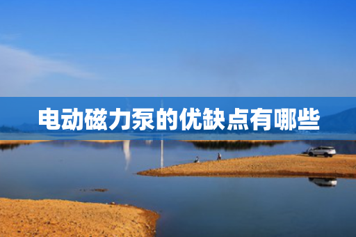 电动磁力泵的优缺点有哪些
