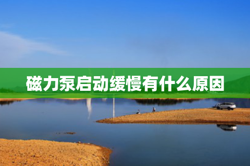 磁力泵启动缓慢有什么原因