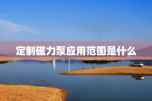 定制磁力泵应用范围是什么