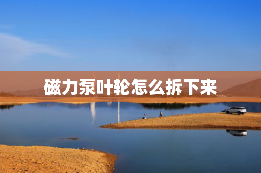 磁力泵叶轮怎么拆下来