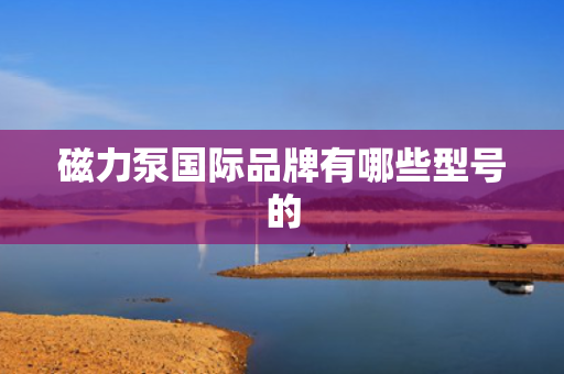 磁力泵国际品牌有哪些型号的