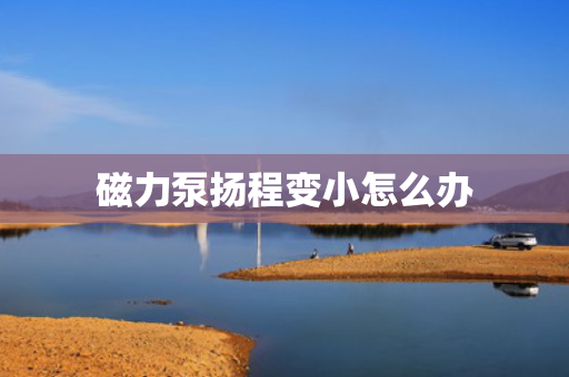 磁力泵扬程变小怎么办