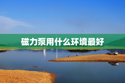 磁力泵用什么环境最好