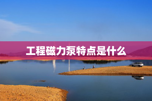 工程磁力泵特点是什么