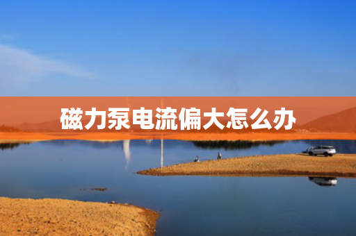 磁力泵电流偏大怎么办