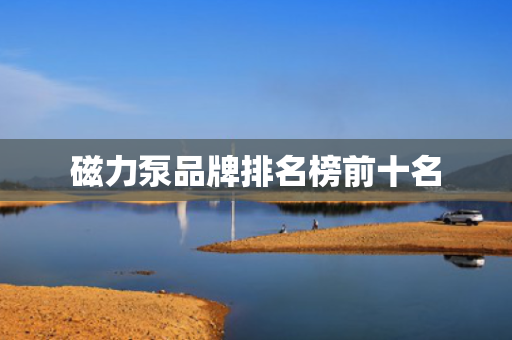磁力泵品牌排名榜前十名