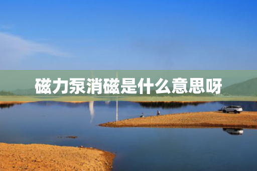 磁力泵消磁是什么意思呀