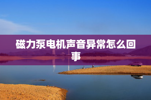 磁力泵电机声音异常怎么回事