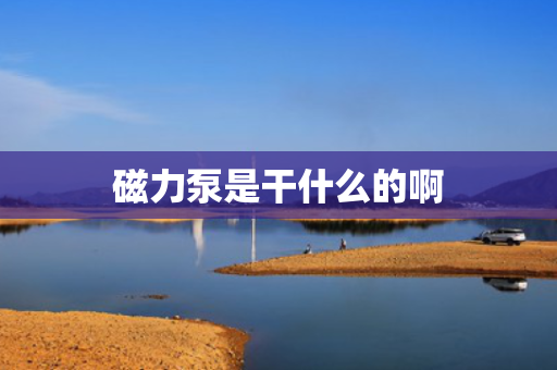 磁力泵是干什么的啊