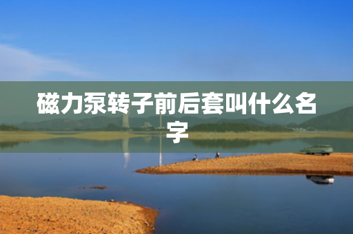 磁力泵转子前后套叫什么名字