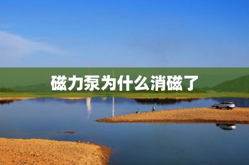 磁力泵为什么消磁了