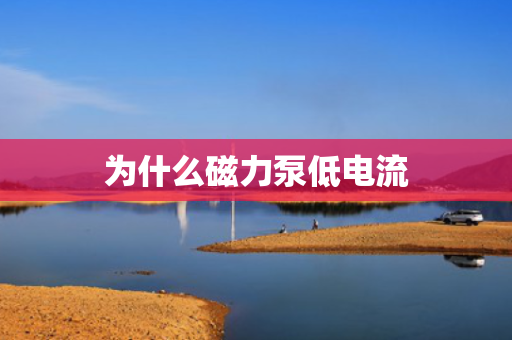 为什么磁力泵低电流