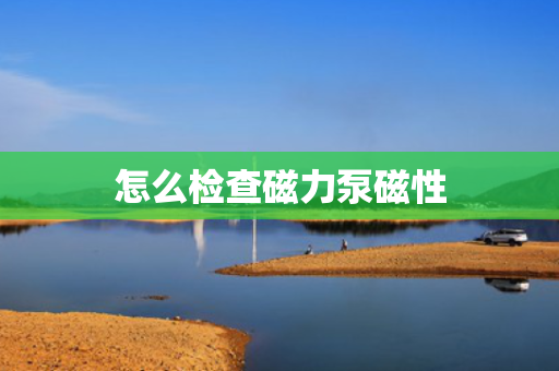 怎么检查磁力泵磁性