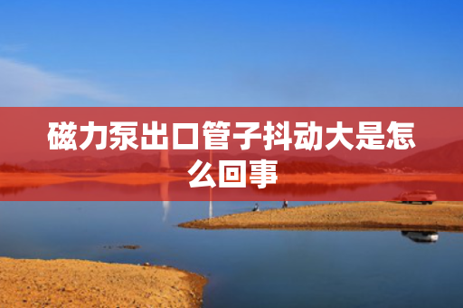 磁力泵出口管子抖动大是怎么回事