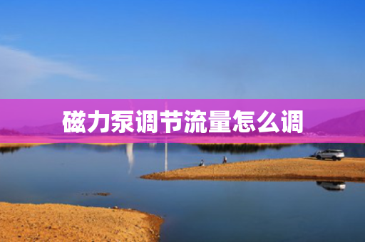 磁力泵调节流量怎么调