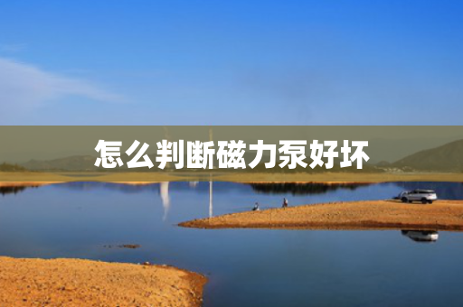 怎么判断磁力泵好坏
