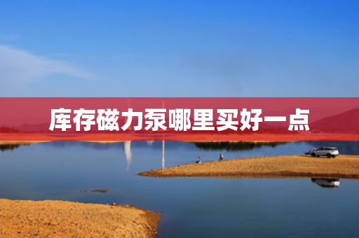 库存磁力泵哪里买好一点