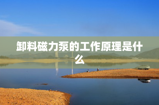 卸料磁力泵的工作原理是什么