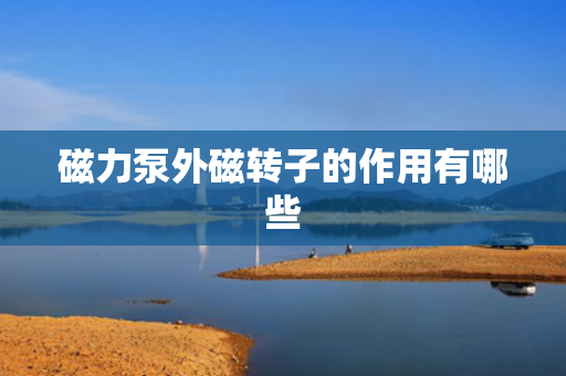 磁力泵外磁转子的作用有哪些