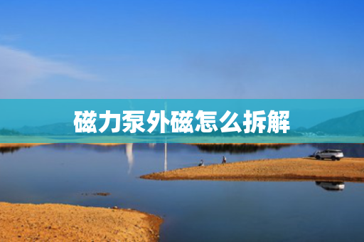 磁力泵外磁怎么拆解