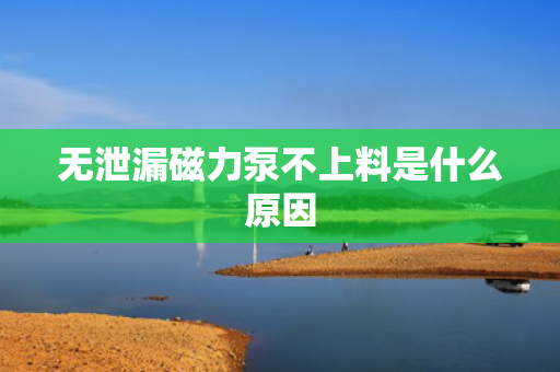 无泄漏磁力泵不上料是什么原因