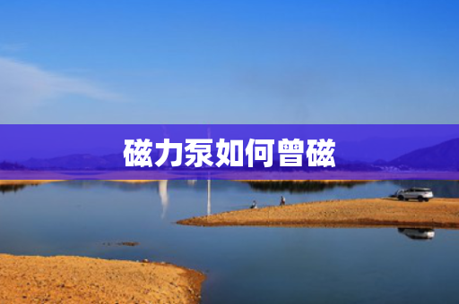 磁力泵如何曾磁