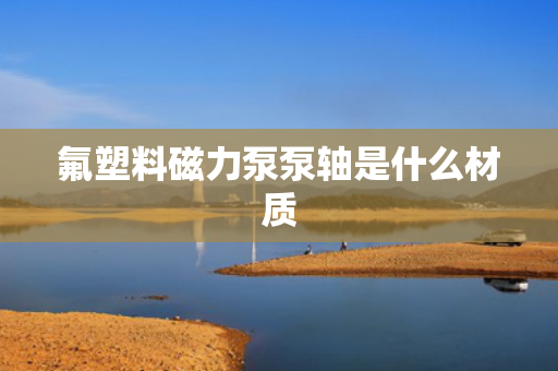 氟塑料磁力泵泵轴是什么材质