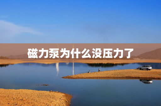 磁力泵为什么没压力了
