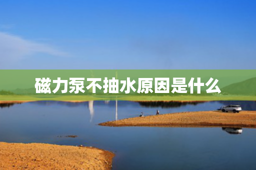 磁力泵不抽水原因是什么