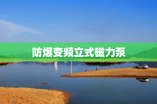 防爆变频立式磁力泵