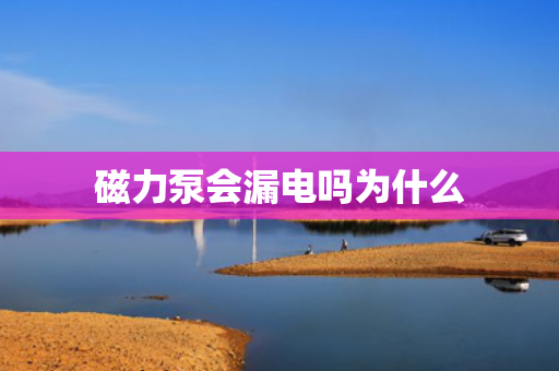 磁力泵会漏电吗为什么