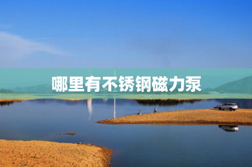 哪里有不锈钢磁力泵