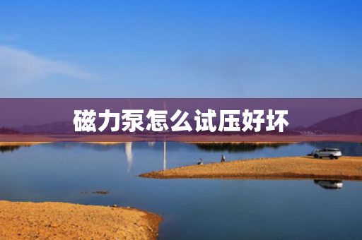 磁力泵怎么试压好坏